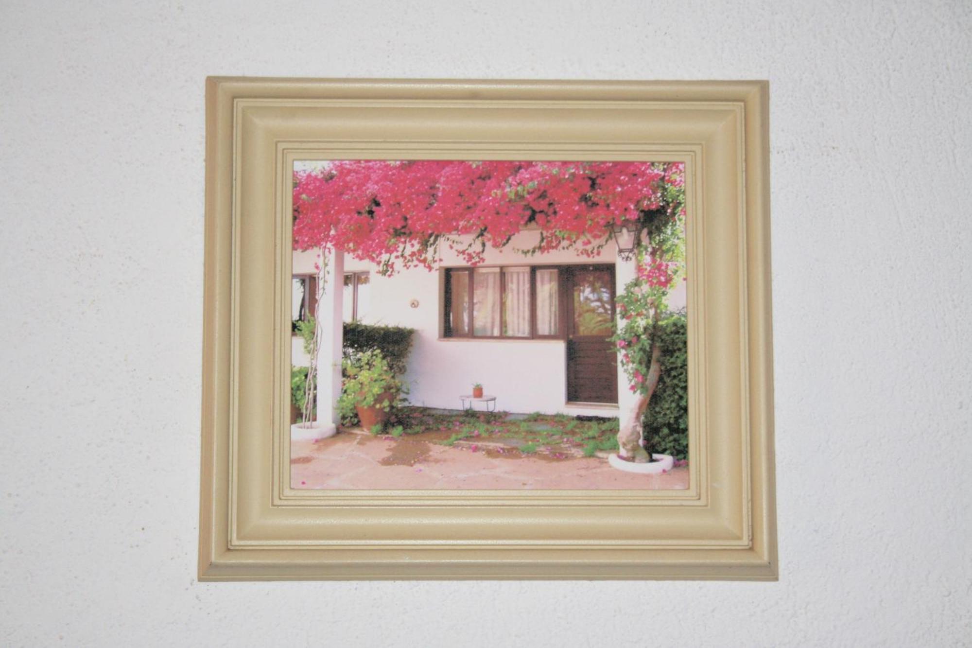 Quinta Da Ameijeira Lagos Kamer foto