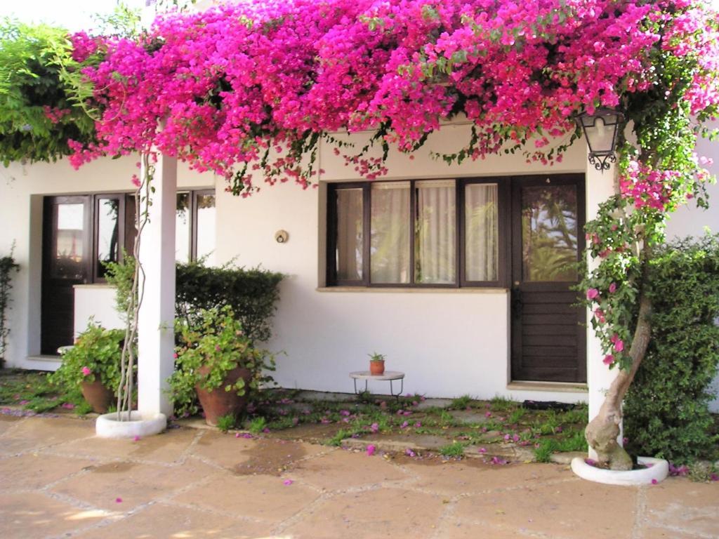 Quinta Da Ameijeira Lagos Kamer foto